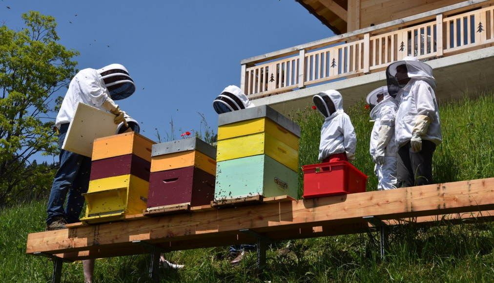 Un paroissien et apiculteur de Chesières a récemment proposé une journée découverte des abeilles. / ©DR