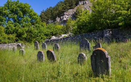 Très vieux cimetière juif abandonné près du village de Trstin, en Slovaquie. / IStock