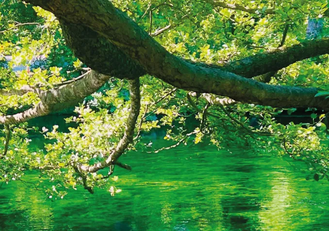 La formation invite à ne pas rester à un constat alarmant. © DR