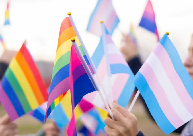Drapeaux trans, LGBTI, bi ©iStock