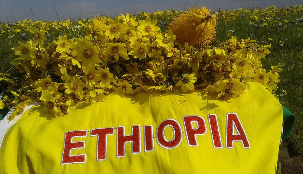 Arrangement pour le nouvel-an éthiopien avec des fleurs d&#039;&quot;adey abeba&quot; / ©Tewodros Kassa, CC BY-SA 4.0 Wikimedia Commons