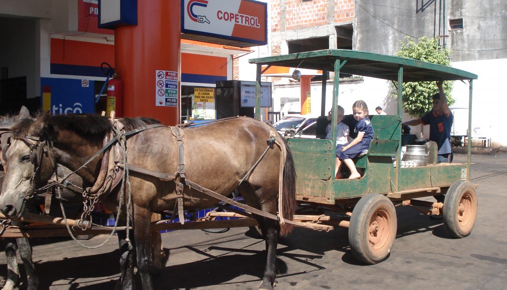 CC Domaine public -  Patricia Perez de Viveros - San Ignacio Paraguay _ Légende : des mennonites au Paraguay