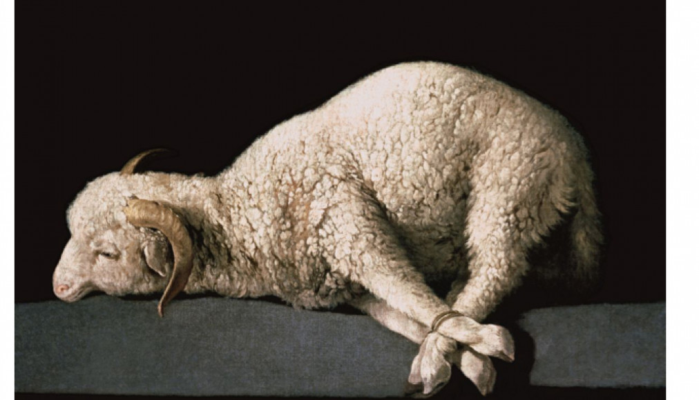  Agnus Dei de Francisco de Zurbarán / DR