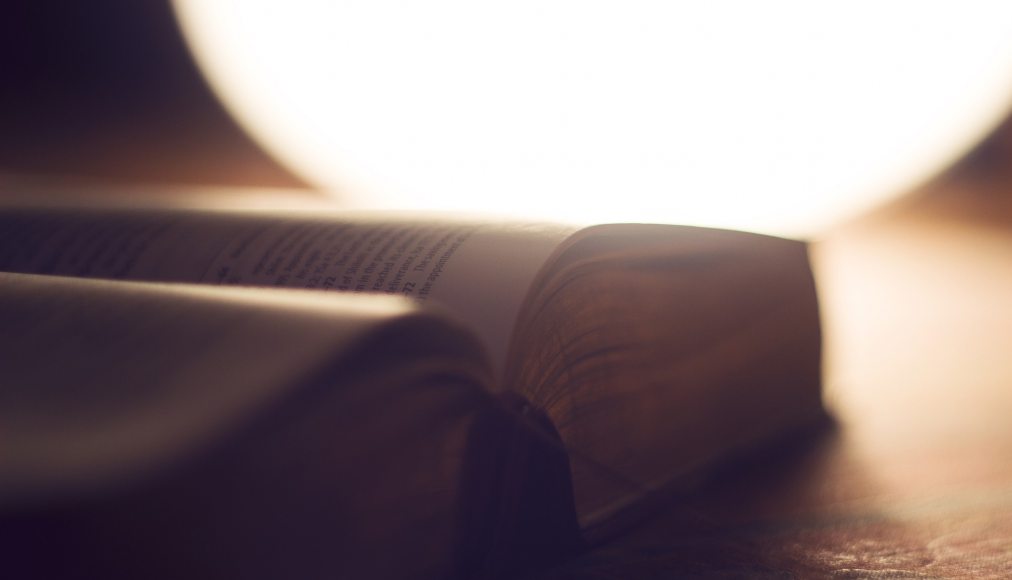 Que dit la Bible de l&#039;homosexualité? / Pixabay