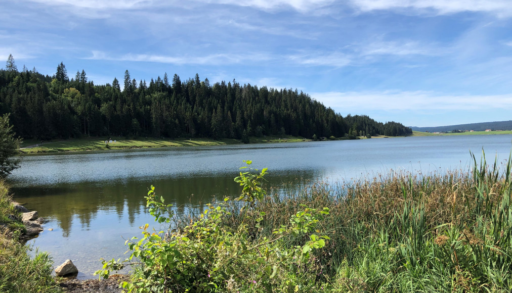 Lac des Taillères (NE) / En chemin 