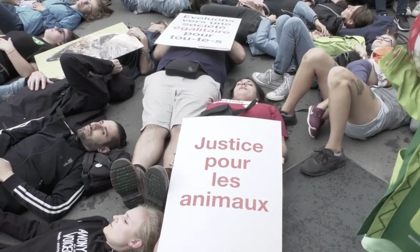 Manifestation antispécisme DR