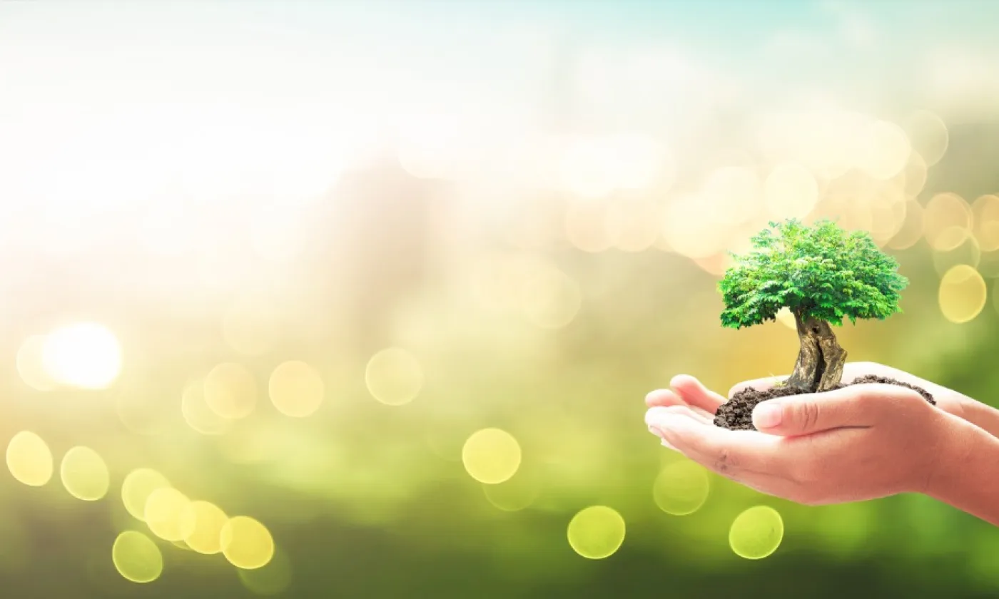 Juste avant la pandémie, un colloque sur la théologie verte a réuni une vingtaine de chercheurs à la Faculté de théologie protestante de Strasbourg. IStock