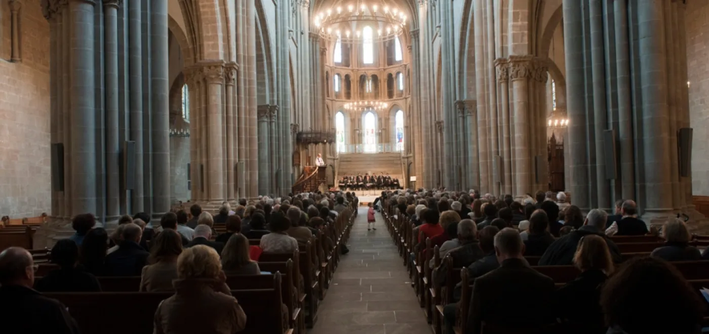 Cathédrale Saint-Pierre à Genève DR