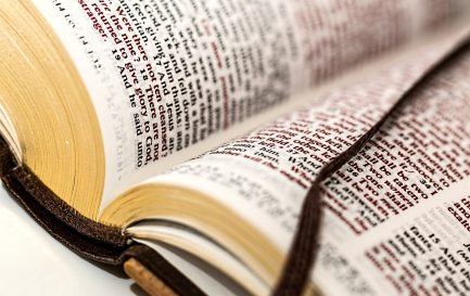 Sept paroles qui en disent long / Bible